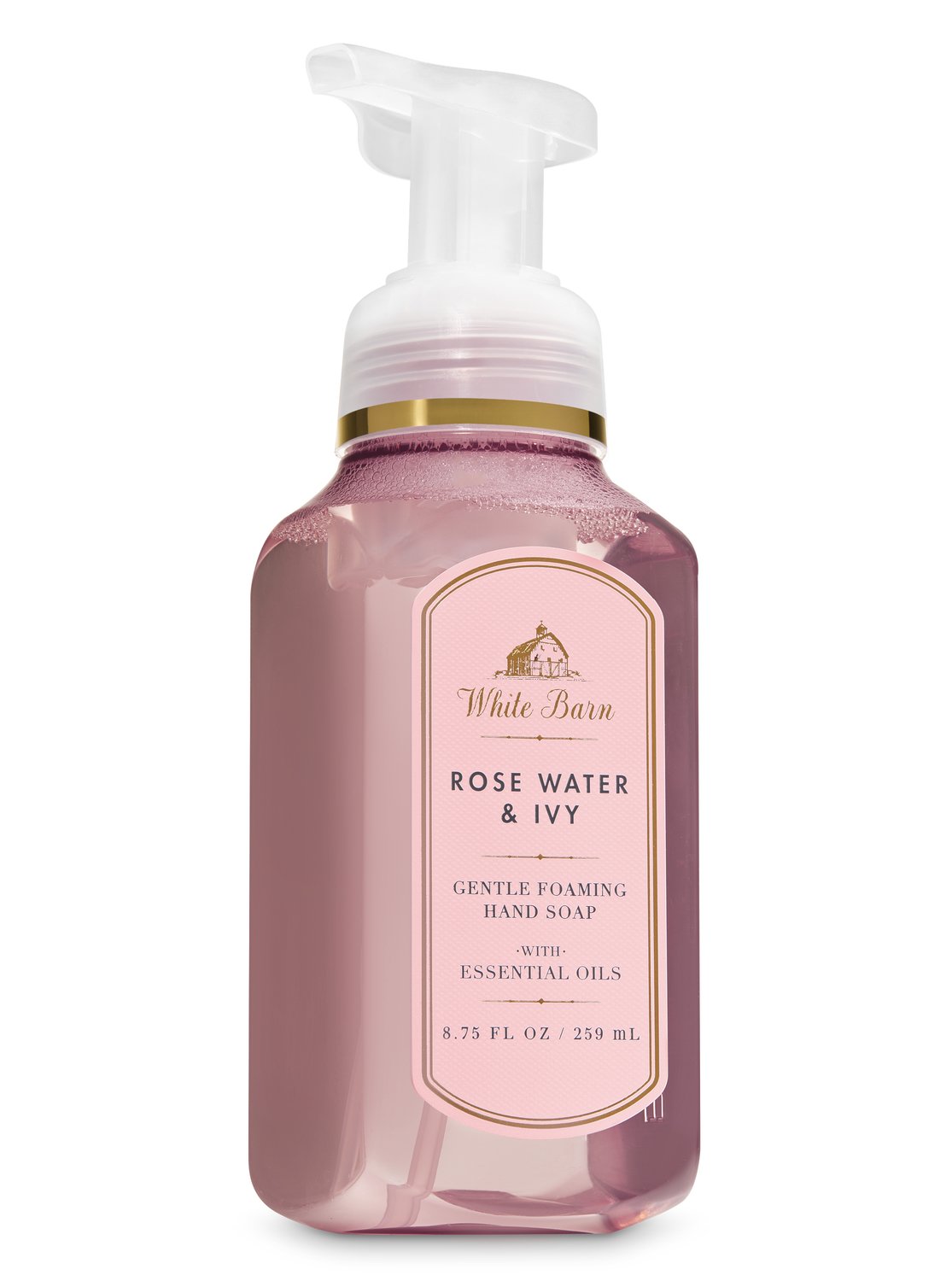 Rose Water & Ivy. offers. 